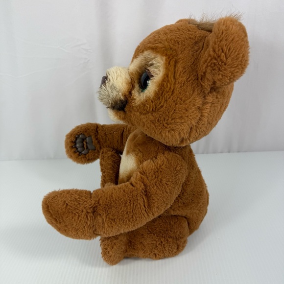 NOT AVAILABLE - Picture 3 of 14